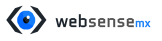 Websense MX